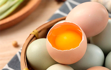 測定例：卵殻の厚さ