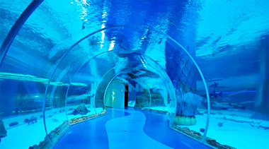 測定例:水中施設で使用されるプレキシガラス